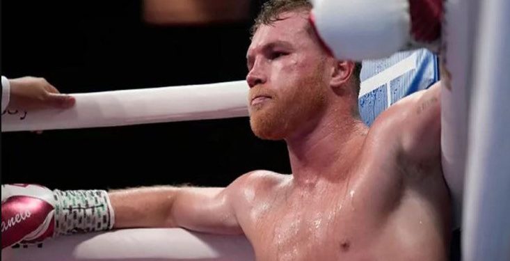 Asal Usul Julukan Canelo pada Saul Alvarez dan Makna di Baliknya