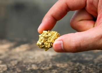 Harta Karun Emas Rp73,4 Triliun Ditemukan Petani di Kebunnya Disita Negara