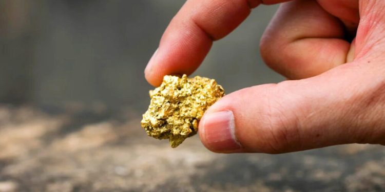 Harta Karun Emas Rp73,4 Triliun Ditemukan Petani di Kebunnya Disita Negara