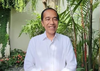 Ikrar Nusa Bhakti Ramal PPP Akan Tenggelam Jika Dipimpin Jokowi