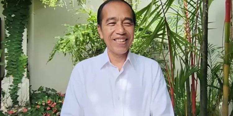 Ikrar Nusa Bhakti Ramal PPP Akan Tenggelam Jika Dipimpin Jokowi