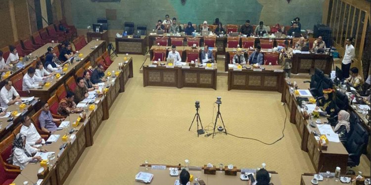 Komisi X DPR Setuju Permohonan Naturalisasi Empat Pesepak Bola Wanita