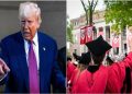 Panic Mahasiswa China Setelah Larangan Universitas Terima Pelajar Asing oleh Trump