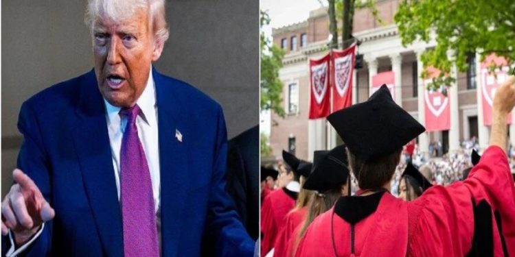 Panic Mahasiswa China Setelah Larangan Universitas Terima Pelajar Asing oleh Trump