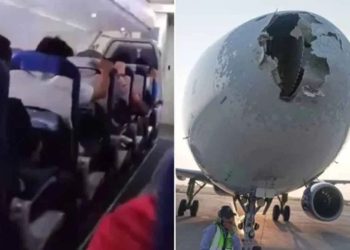 Pesawat India Hancur karena Ditabrak Burung dan Hujan Es