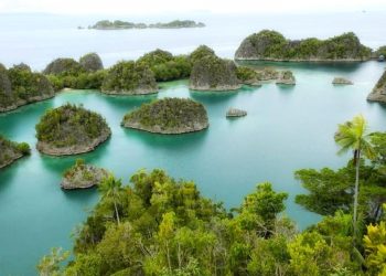 5 Penguasa Tambang Nikel di Raja Ampat Termasuk Konglomerat China dan BUMN