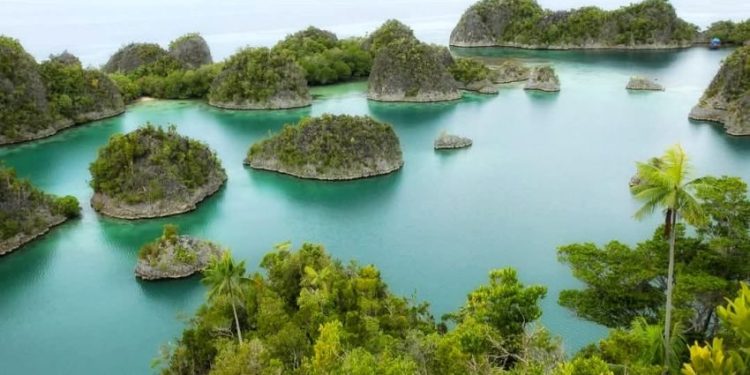 5 Penguasa Tambang Nikel di Raja Ampat Termasuk Konglomerat China dan BUMN