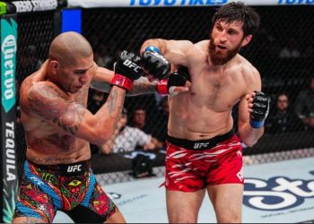 Akhir Karier Alex Pereira di UFC, Magomed Ankalaev: Selesai dan Lupakan Rematch