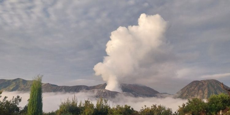 Biaya Wisata Gunung Bromo dari Malang yang Perlu Diketahui