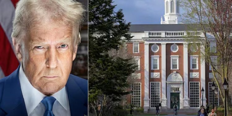 Larangan Mahasiswa Asing Kuliah di Universitas Harvard Resmi Teken oleh Donald Trump