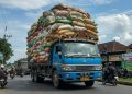 Takut Kehilangan Nyawa, Dihentikan dari Hari Senin hingga Hari Sabtu!