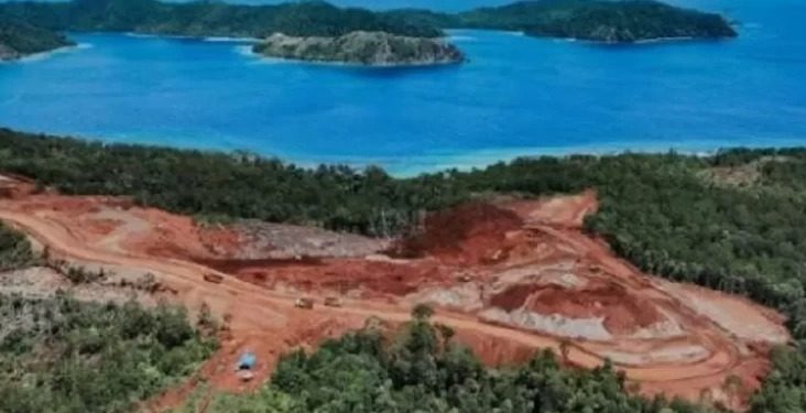 Pelaku Wisata Selam Desak Presiden Hentikan Tambang Nikel di Raja Ampat