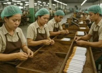 PP 28 Tahun 2024 Ancam Sektor Padat Karya dan Potensi Kerugian Ratusan Triliun