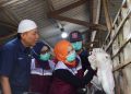 237 Hewan Kurban Setara 21 Ton Daging Dibagikan di 20 Provinsi