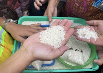 10 Perusahaan Besar Terkait Kasus Beras Oplosan Siap Dipanggil Bareskrim