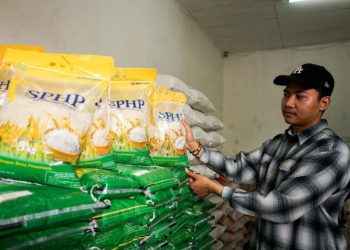 1,3 Juta Ton Beras SPHP Resmi Disalurkan dan Harganya di Setiap Wilayah