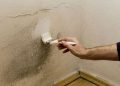 5 Tips Merawat Rumah Saat Musim Hujan Agar Tidak Jamuran