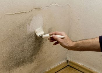 5 Tips Merawat Rumah Saat Musim Hujan Agar Tidak Jamuran