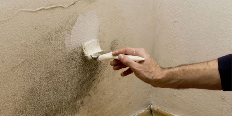 5 Tips Merawat Rumah Saat Musim Hujan Agar Tidak Jamuran