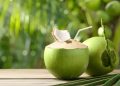 Waktu Terbaik untuk Minum Air Kelapa Menurut Ahli Gizi IPB