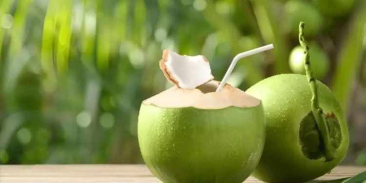 Waktu Terbaik untuk Minum Air Kelapa Menurut Ahli Gizi IPB