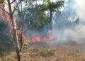Enam Bencana dalam 24 Jam Terakhir Termasuk Banjir dan Kebakaran Hutan