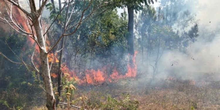 Enam Bencana dalam 24 Jam Terakhir Termasuk Banjir dan Kebakaran Hutan