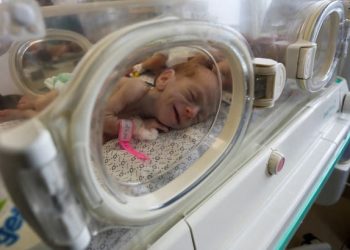 Lebih dari 100 Bayi Prematur di Gaza Terancam Tewas karena Rumah Sakit Kehabisan Energi