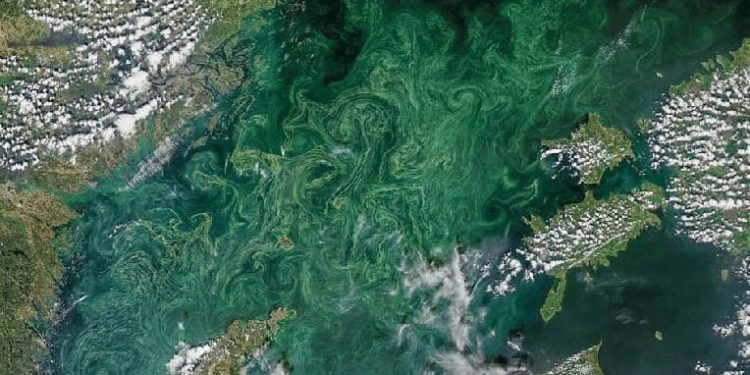 Diprediksi Ombak Setinggi 6 Meter Akan Menggulung Perairan Bali