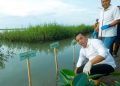 Serahkan 5000 Bibit Mangrove Cegah Abrasi di Pesisir Jawa Barat