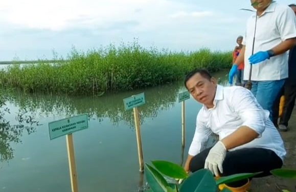 Serahkan 5000 Bibit Mangrove Cegah Abrasi di Pesisir Jawa Barat