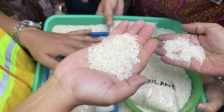 Beras Langka dan Mahal di Tengah Klaim Surplus Ombudsman: Situasi Genting
