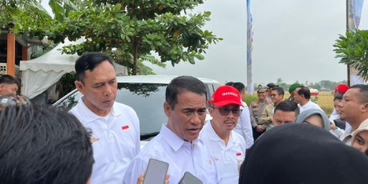 Harga Kelapa Meningkat hingga Rp6.000 per Butir, Mentan Amran: Berkah untuk Petani