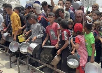 Kelaparan di Gaza Buatan Manusia, butuh Penyaluran Bantuan untuk Perbaiki Situasi