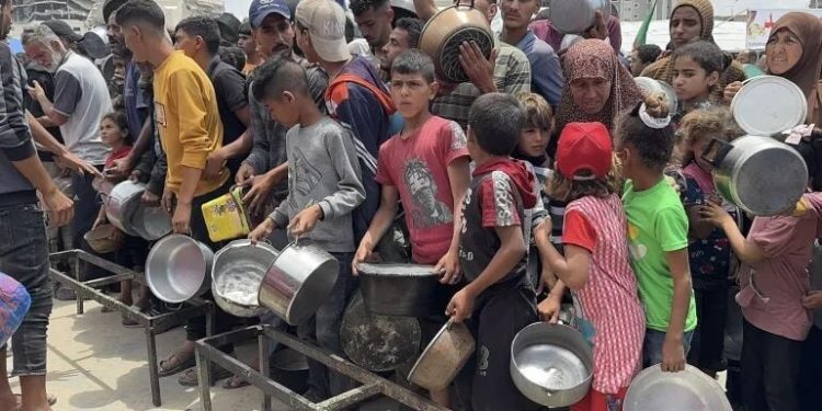 Kelaparan di Gaza Buatan Manusia, butuh Penyaluran Bantuan untuk Perbaiki Situasi