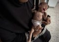 Portugal Akan Pertimbangkan Pengakuan Negara Palestina pada Bulan September