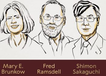 3 Peneliti Kekebalan Tubuh dari AS dan Jepang Memenangkan Nobel Kedokteran