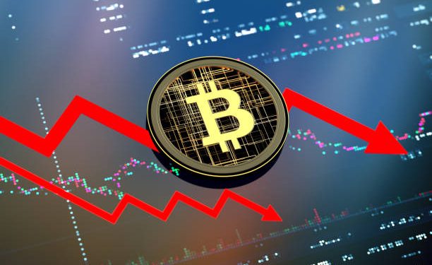 Industri Kripto Potensial Ciptakan 1,22 Juta Lapangan Kerja di Indonesia
