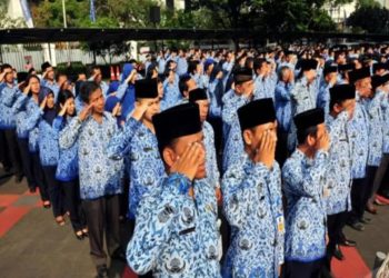 10 Perguruan Tinggi Pemasok PNS Terbanyak dengan Dominasi Kampus Negeri