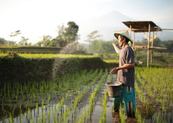 Mendorong Penggunaan Pertanian Presisi Berbasis Data dan Teknologi