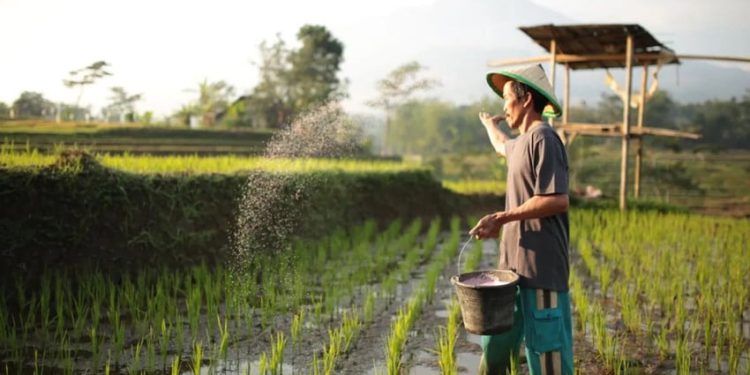 Mendorong Penggunaan Pertanian Presisi Berbasis Data dan Teknologi