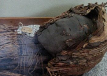 Mengapa Mumi Prasejarah Gurun Atacama Memiliki Otak yang Sangat Kecil?