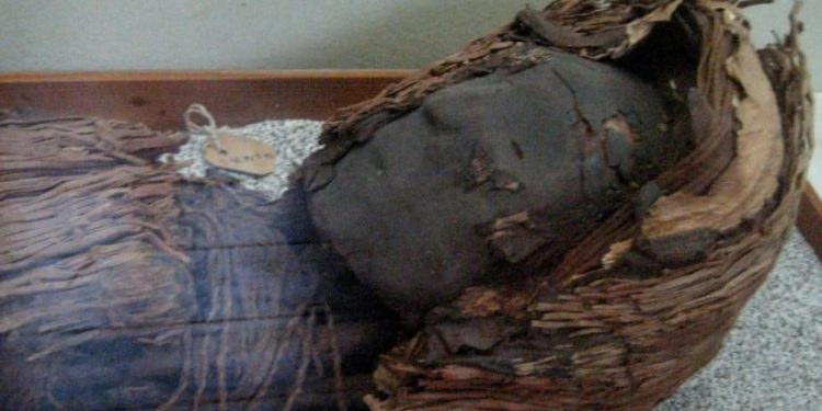 Mengapa Mumi Prasejarah Gurun Atacama Memiliki Otak yang Sangat Kecil?
