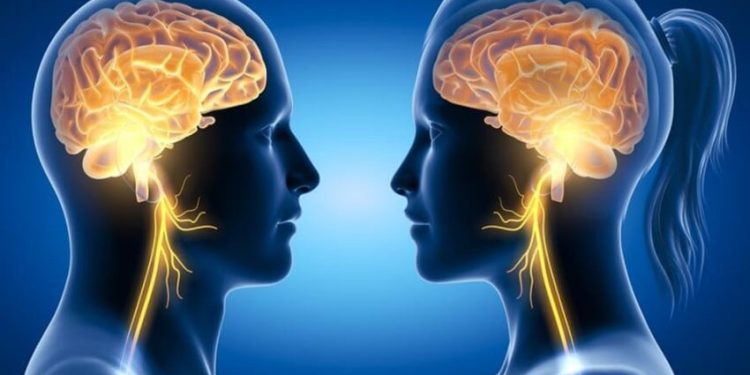 Studi Ungkap Otak Pria Menyusut Lebih Cepat Dibanding Perempuan Seiring Usia Bertambah