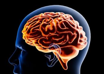 Peringatan Kesehatan Mental Wajib di Semua Platform Sosial Media di New York