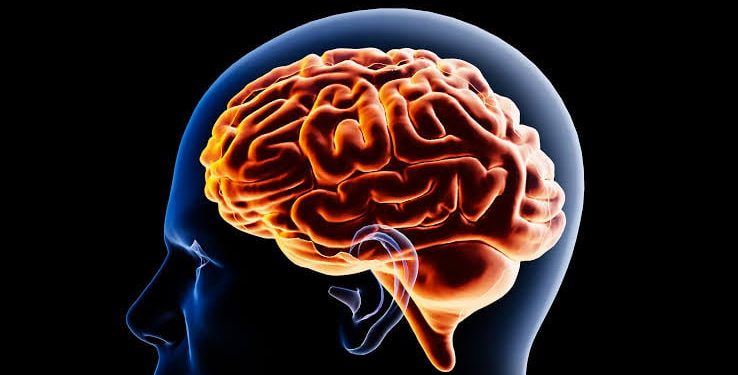 Peringatan Kesehatan Mental Wajib di Semua Platform Sosial Media di New York
