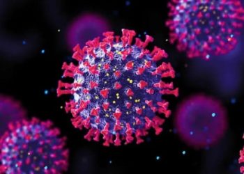 Super Flu Subclade K di Indonesia Masih dalam Pengendalian Kemenkes