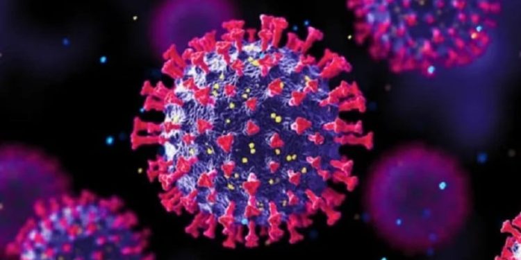 Super Flu Subclade K di Indonesia Masih dalam Pengendalian Kemenkes